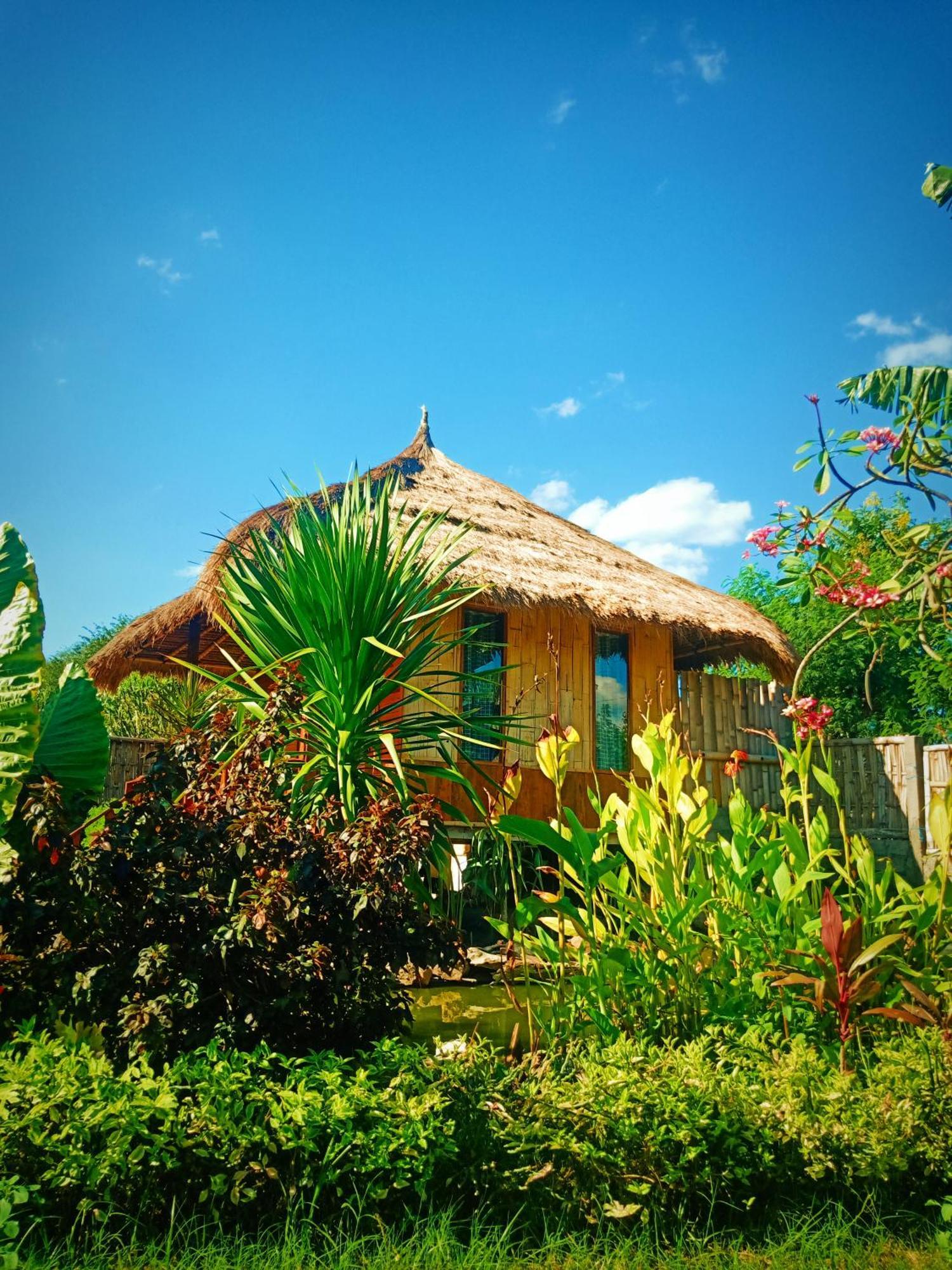 Umah Kayu 2-Menjangan Homestay バニュウェダン エクステリア 写真