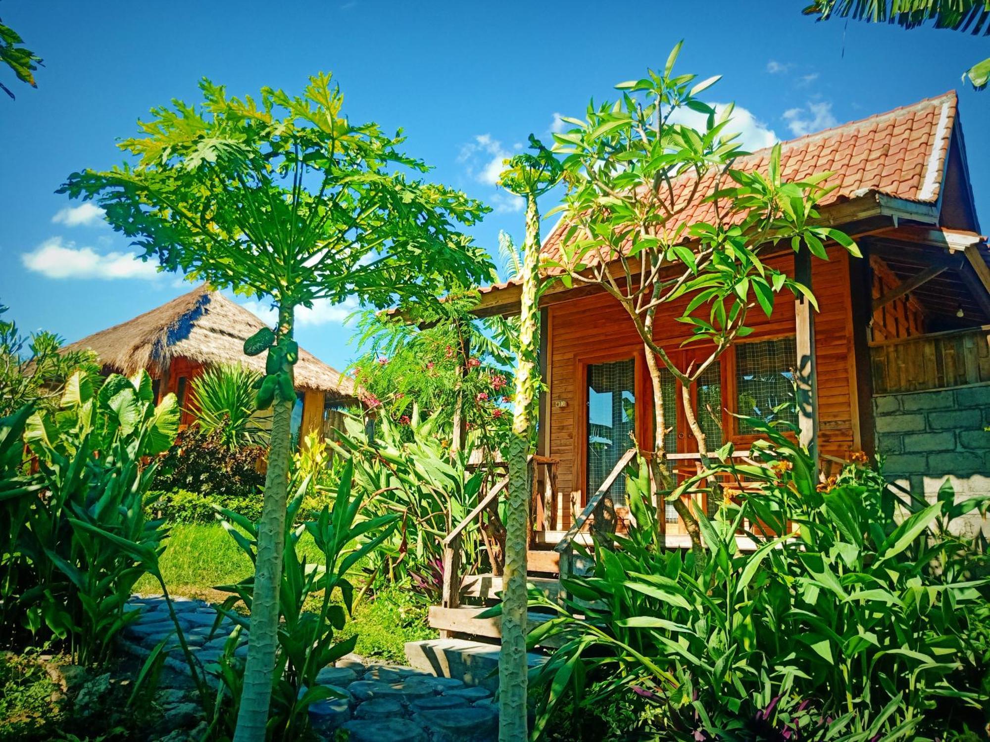 Umah Kayu 2-Menjangan Homestay バニュウェダン エクステリア 写真