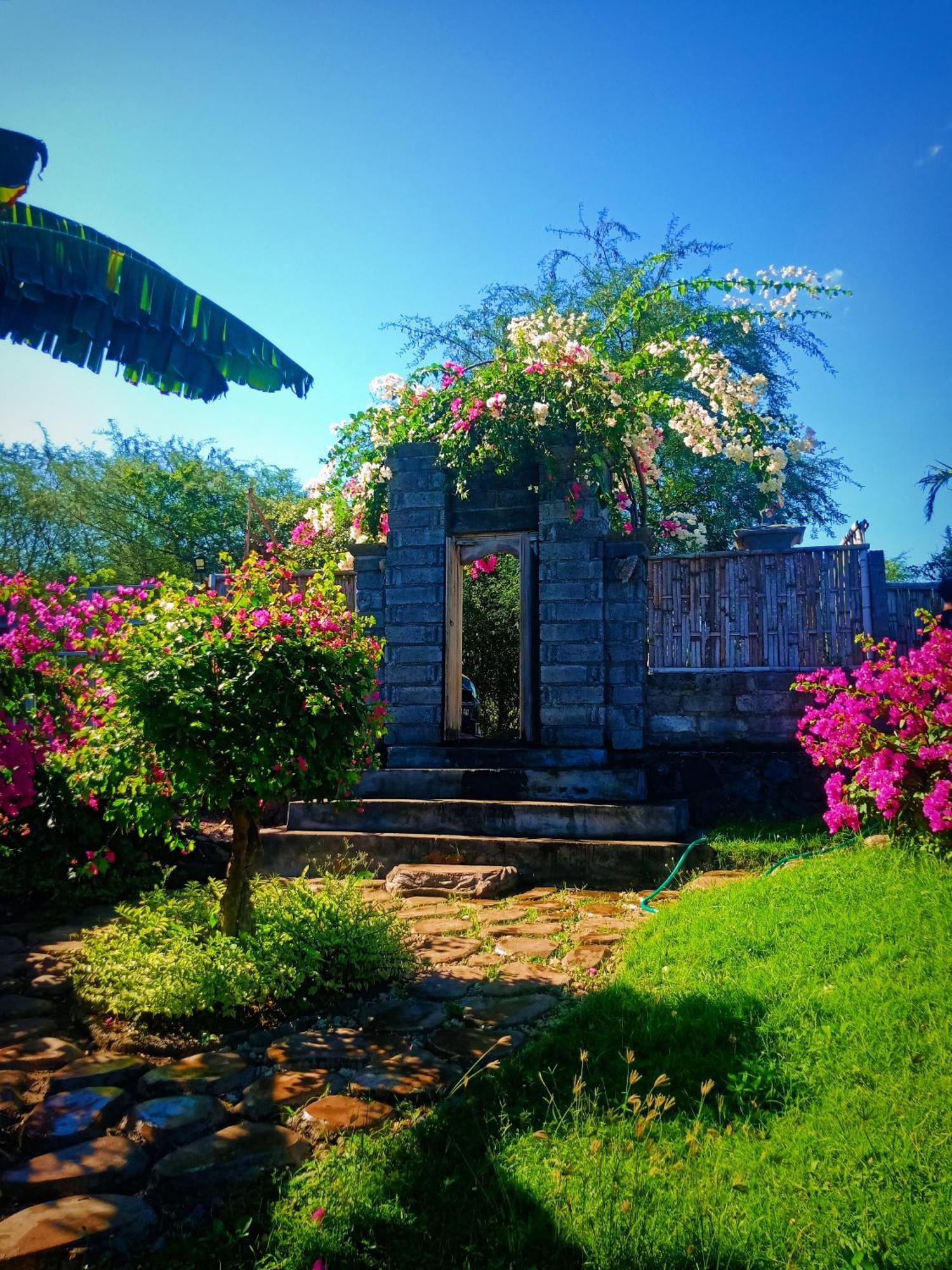 Umah Kayu 2-Menjangan Homestay バニュウェダン エクステリア 写真