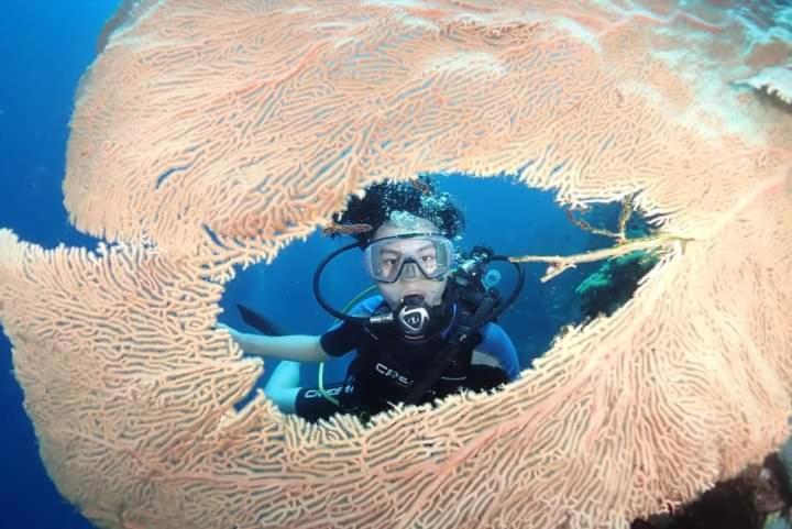 Umah Kayu 2-Menjangan Homestay バニュウェダン エクステリア 写真