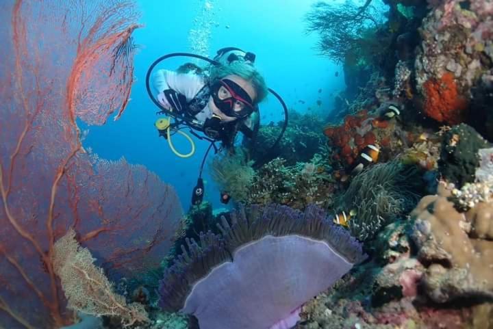 Umah Kayu 2-Menjangan Homestay バニュウェダン エクステリア 写真