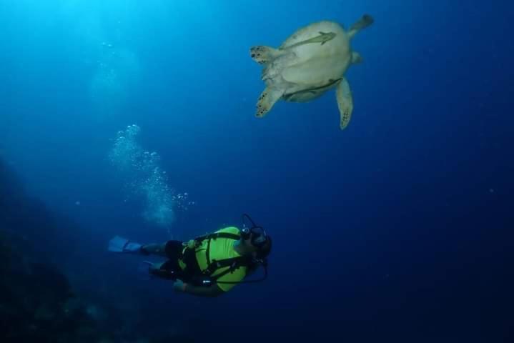 Umah Kayu 2-Menjangan Homestay バニュウェダン エクステリア 写真