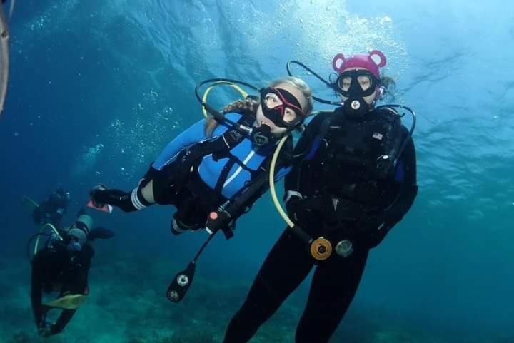 Umah Kayu 2-Menjangan Homestay バニュウェダン エクステリア 写真